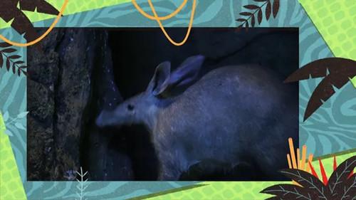 Kukurota Season 3 Episode 4 - Episode 4