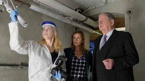 Der Staatsanwalt Season 16 Episode 2 - Episode 2