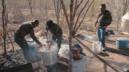 VICE News Tonight Season 5 Episode 22 - Wednesday, February 10, 2021