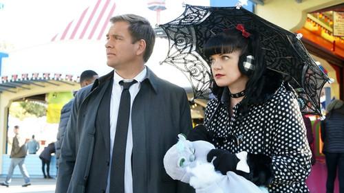 NCIS Season 13 Episode 12 - Sister City (I)