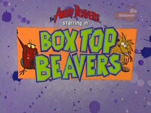 The Angry Beavers Season 1 Episode 7 - Boxtop Beavers