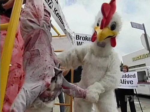 30 Days Season 3 Episode 3 - Animal Rights