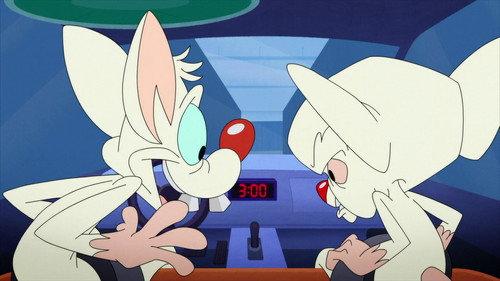 Animaniacs Season 3 Episode 9 - Talladega Mice: The Ballad of Pinky Brainy
