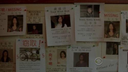 Numb3rs Season 5 Episode 13 - Trouble in Chinatown