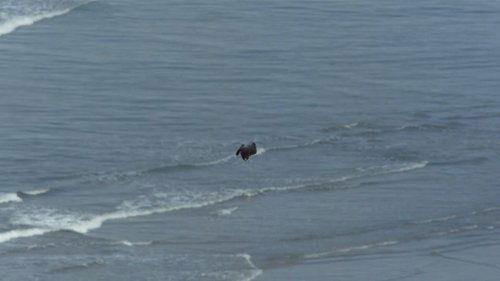 North America Season 1 Episode 4 - The Savage Edge