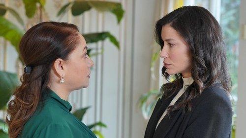 Cranberry Sorbet Season 2 Episode 20 - Episode 49