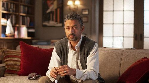 In Treatment Season 3 Episode 9 - Sunil: Week Three