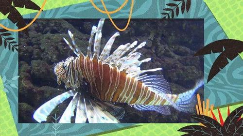 Kukurota Season 4 Episode 1 - Episode 1