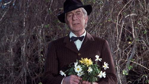 The Waltons Season 1 Episode 18 - The Courtship