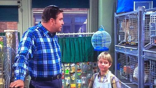 Mayberry R.F.D. Season 1 Episode 21 - The Pet Shop