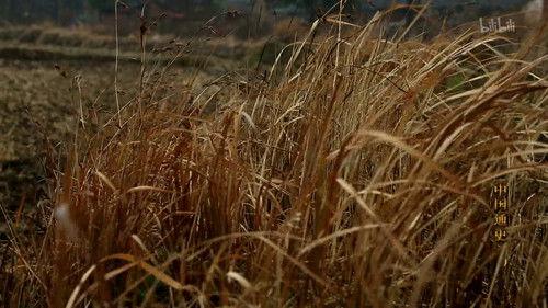 General History of China Season 1 Episode 5 - Episode 5