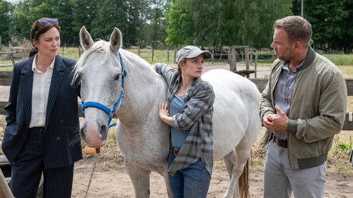 SOKO Wismar Season 22 Episode 15 - Episode 15