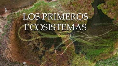 Planeta Microbio Season 1 Episode 8 - Episode 8