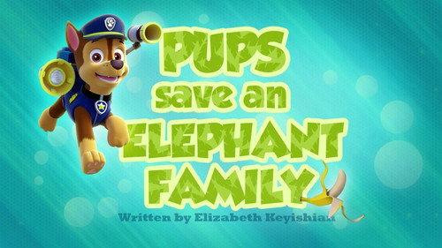 undefined Season 2 Episode 29 - Pups Save an Elephant Family