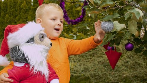 Bo Bear Season 2 Episode 10 - Episode 10