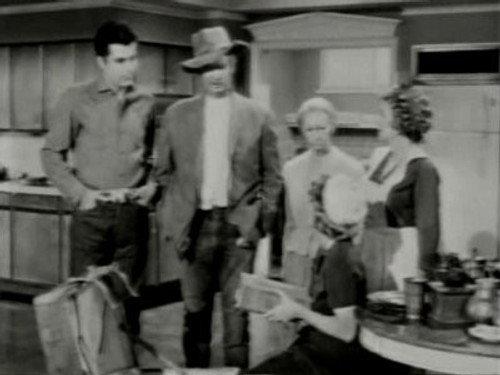 The Beverly Hillbillies Season 1 Episode 25 - The Family Tree