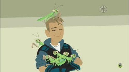 Wild Kratts Season 3 Episode 16 - Praying Mantis