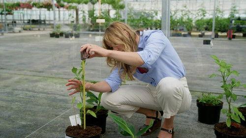 Factcheckers Season 1 Episode 3 - Episode 3