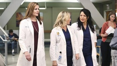 Grey's Anatomy Season 11 Episode 1 - I Must Have Lost It on the Wind