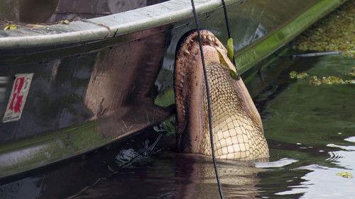 Swamp People Season 17 Episode 11 - Monster Season