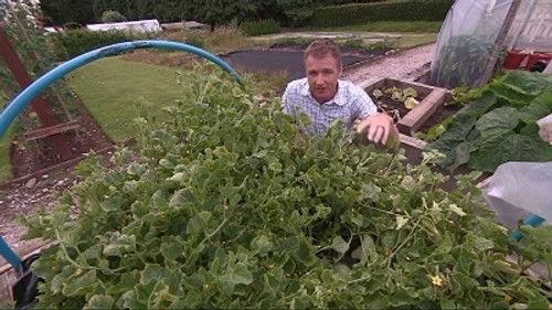 The Beechgrove Garden Season 36 Episode 16 - Episode 16