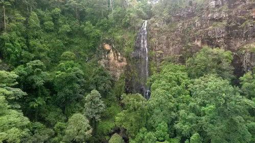 Jungle Planet Season 1 Episode 25 - The Australian Paradise