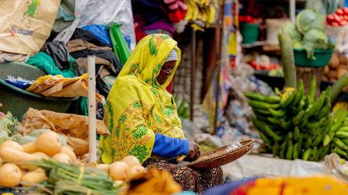 Wie is de Mol? Season 27 Episode 2 - Episode 2