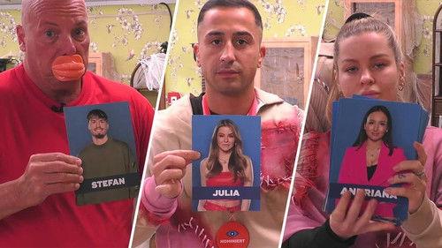 Big Brother - Die Show Season 1 Episode 24 - Episode 24