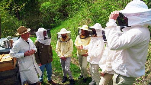 The Apprentice Season 19 Episode 1 - Austria Tours