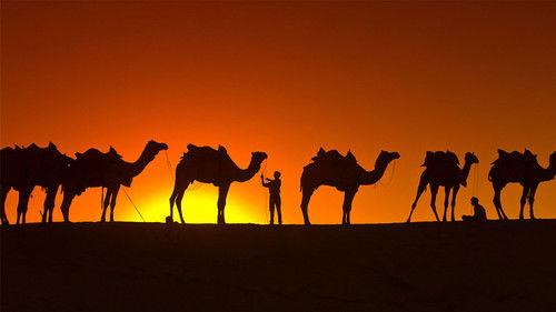 This Hour Has 22 Minutes Season 8 Episode 3 - Episode 162