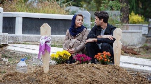 The Town Doctor Season 2 Episode 9 - Episode 22