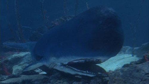 Voyage to the Bottom of the Sea Season 2 Episode 1 - Jonah and the Whale