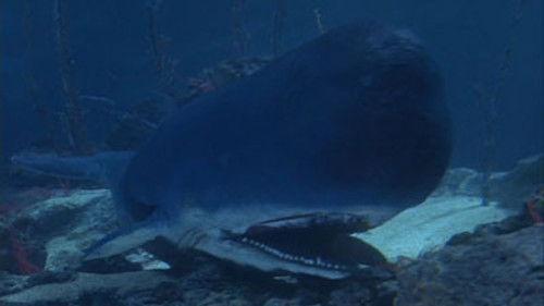 Voyage to the Bottom of the Sea Season 2 Episode 1 - Jonah and the Whale