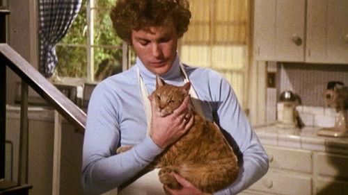 Background image for Malicious Mischief