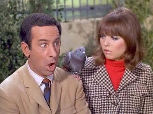 undefined Season 3 Episode 22 - Spy, Spy, Birdie