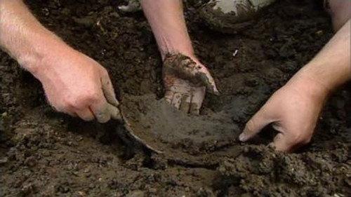 Time Team Season 8 Episode 11 - The Leaning Tower of Bridgnorth - Bridgnorth, Shropshire