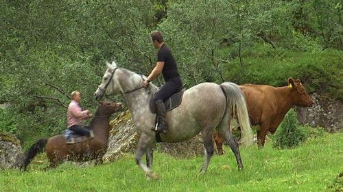 Der ingen skulle tru at nokon kunne bu Season 6 Episode 5 - Episode 5