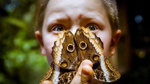 Jonahs dyreverden Season 1 Episode 7 - Episode 7