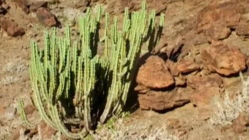 Kouzlo Afriky Season 1 Episode 12 - Episode 12