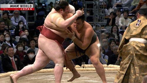GRAND SUMO Highlights Season 20 Episode 14 - Day 14