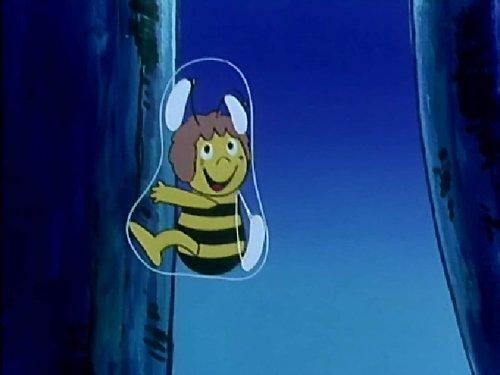 Maya the Bee Season 1 Episode 33 - Pursuit by a Sparrow and a Frog
