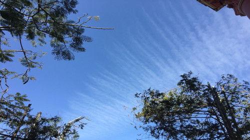 Ulisse - Il piacere della scoperta Season 2 Episode 4 - L'aria