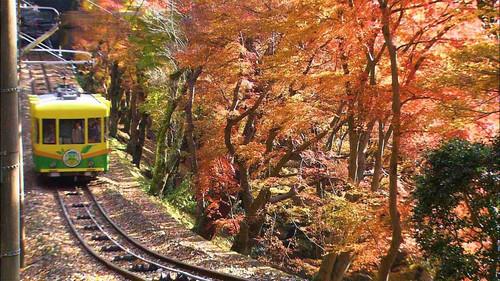 Dive in Tokyo Season 4 Episode 22 - Mt. Takao - A Sanctuary for Faith and Nature