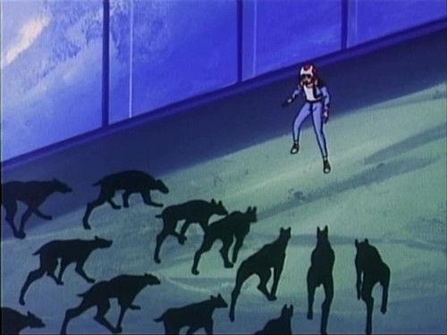 Hurricane Polymar Season 1 Episode 7 - The Bite-Bark Killers