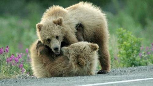 Kanadas Nationalparks Season 2 Episode 3 - Episode 3