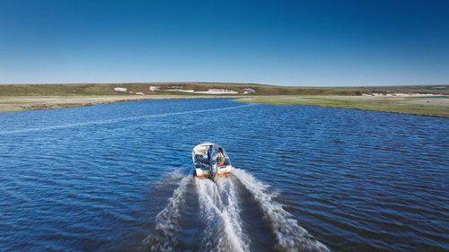 Life Below Zero Season 23 Episode 19 - A New Reality