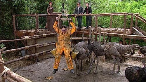 I'm a Celebrity...Get Me Out of Here! Season 7 Episode 7 - Nip/Pluck