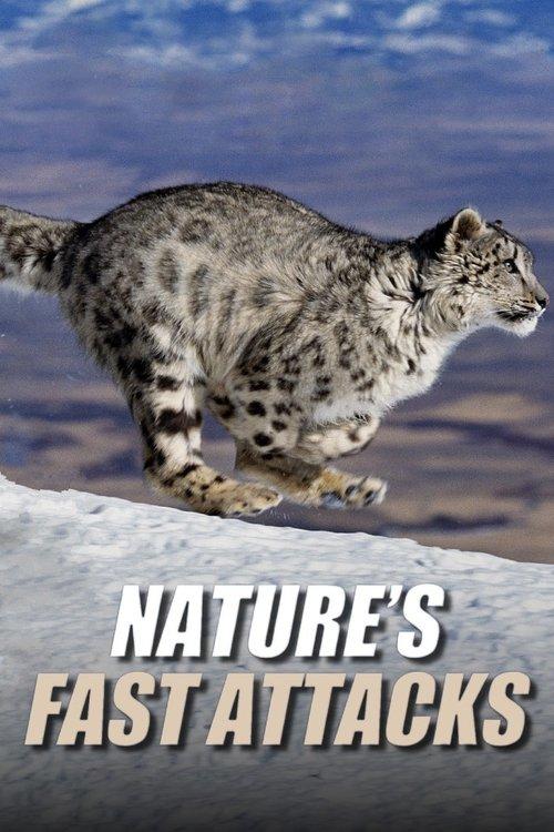 Nature's Fast Attacks poster