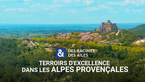 Des racines & des ailes Season 28 Episode 6 - Episode 6