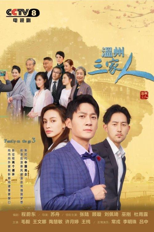 Family on the Go 3 poster